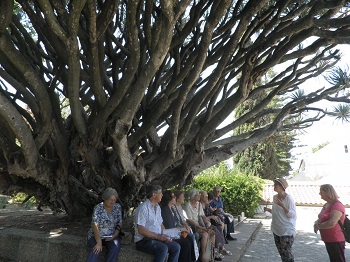 visita quinta conde arcos