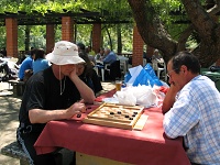 Pic-Nic_2010_a__200x150