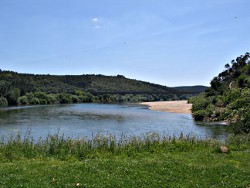 pic-nic constância